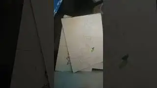 Save bird