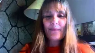 VSN Extreme Traffic Goldmine Traffic Leads Income