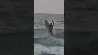 Surfing On My Twin Fin At Wrightsville Beach, NC #surfing #beach #fun #nc