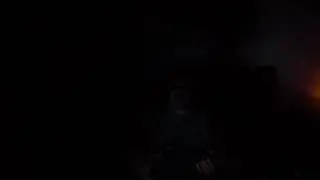 Death in June (cover She Said Destroy 2009)