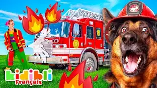 Compilation Chiens Pompiers et Chevaux | Vid&eacute;os Educatives pour Enfants | Kidibli