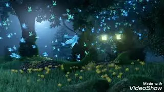 Night magic forest fireflies (My second music in the Maestro app!)