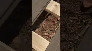 🚨Nuevo Techwood siding c&oacute;mo instalarlo