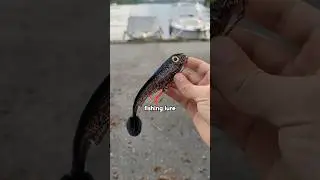 Making a Carp Fishing Lure 🐟#pikefishing #carpfishing #fishingtips #fishinglures