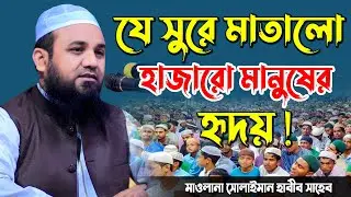 যে সুরে মাতালো হাজারো মানুষের হৃদয় ! হাফেজ মাওলানা সোলায়মান হাবিবী সাহেবের নতুন ওয়াজ ৷ Bangla Waz