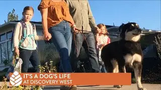 Dogs of Discovery West - A K9 Friendly Bend, OR Neighborhood