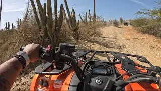 Ultimate Aruba Adventure | ATV & UTV Desert Tour