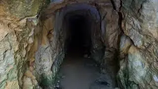 gold mines bats adventure fun bush yarra Valley