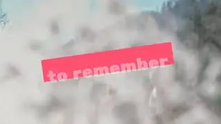 Revoderm's Holiday Gift Collection