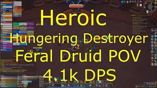 Shadowlands 9.0.2 - Feral Druid POV - Heroic Hungering Destroyer Raid Guide - Guild Discord.