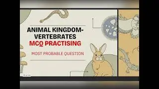 Animal kingdom-Vertebrates