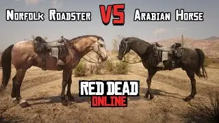 Norfolk Roadster (lvl.4) vs Arabian Horse (lvl.4) - Red Dead Online Сomparison | Best Horse - Test