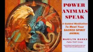 POWER ANIMALS SPEAK, II: Meeting Your Spirit Animal
