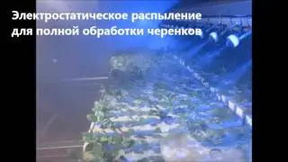 МИКОТОН TOPSTART!