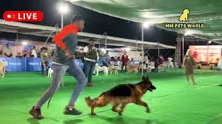 Meet the Stars: Top Breeds at the APKC 2026 Lineup | MMPETSWORLD