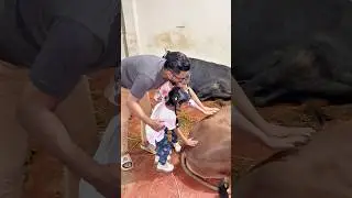 &ldquo;Last Qurbani Eid 2025 memories with the best crew ❤️🐄🐑 #FamilyTime #EidThrowback #cow #familyfun
