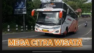 MENGIKUTI BUS MEGA COTRA TRANS 🟠🟠🟠