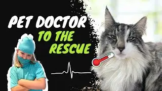 Pretend Kids Play Pet Doctor And Save The Cat!