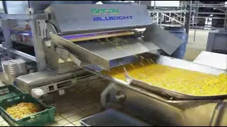 #Spray #sortingmachine for #cherries in SO2 | RAYTEC VISION SpA