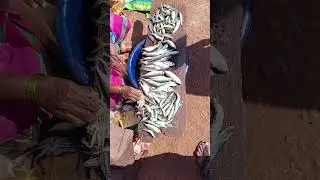 #shorts #ytshorts #fish #malavani #chowkers #viral