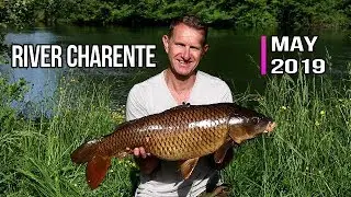 Carp fishing France: River Charente May 2019