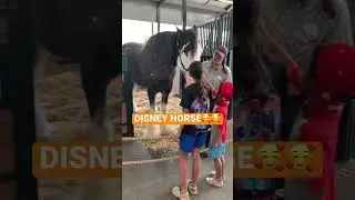 Cinderella&rsquo;s Horse at Disney!! 😍😍 #disney #cinderella #disneyworld #horse #shorts #family #fun