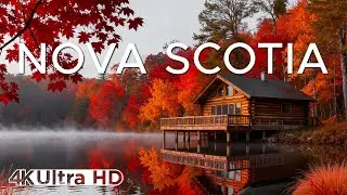 Autumn in Nova Scotia 4K 🍂 | Coastal Cliffs, Forest Roads & Golden Foliage