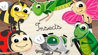 INSECTOS en INGLES para ni&ntilde;os &ndash; Vocabulario en ingl&eacute;s para ni&ntilde;os