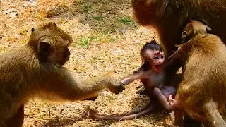 Million pity small boy Maddix cry cry  seriously because Dee Dee kidnap and do bad on him / M P