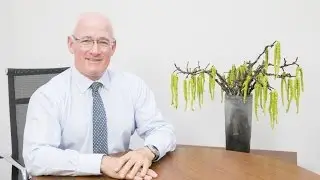 Psychologist explains how to prevent mental health issues in the workplace