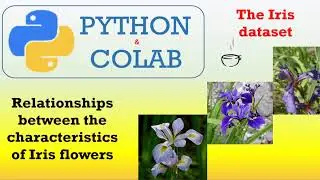 Análise exploratória de dados (Parte 5 de 5) – Relações entre as características da flor de Iris