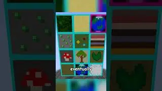 Minecraft's ONE CHUNK mod