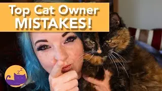 Top MISTAKES New Cat Owners make! (Tips and Advice)