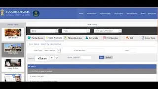 How to check case status online