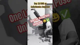 One Leg Crow Pose 😀✅ Day 24/365 as Calisthenics Beginner #calisthenics #crowpose #mrcoolthenics
