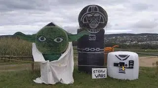 Walking around Lester's Farm St.John's Newfoundland October 3rd