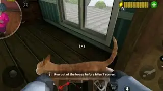 Scary teacher 3d,rescue the poor cat,android gameplay.