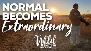 Normal becomes EXTRAORDINARY | Wild Shutter Podcast Episode 8
