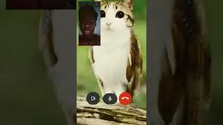 Pov that one bff #roblox #funny #stumbleguys