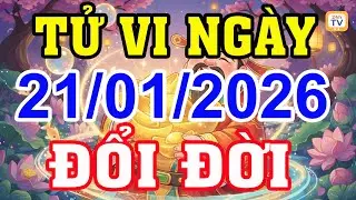 Tử vi Thứ tư, Ng&agrave;y 21 th&aacute;ng 1 năm 2026 | Tử vi 12 con gi&aacute;p | Tử vi hằng ng&agrave;y | Tử vi 24h | TV24h