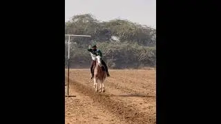 Nazabazi with Mubashar Tiwana#beautifulhorses #horse #pakistan#punjab #youtube#youtubeshorts