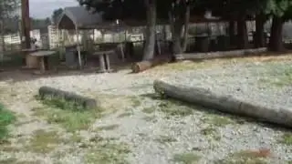 DBS Outdoor Paintball Park Tour