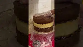 Birthday Cake! 3 Layer Chocolate and Vanilla Cake 🎂 #baking #birthday