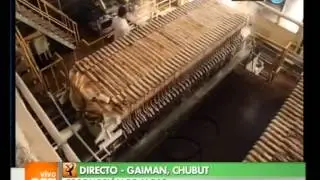 Vivo en Argentina - Chubut - Gaiman - Producción de algas - 07-11-12