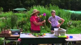 Pluktuin de Bosrand   Hoe leuk is Nederland SBS6