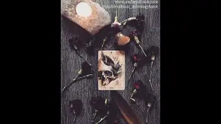 Libra November 2020 Astro ★ Tarot Forecast - Be selective. Don&rsquo;t just put anything on your scale.