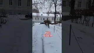 Терещенковская ул., Терещенковская Str, Kyiv, Ukraine. Музей истории Киева, Крещатик Киев, Украина