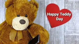 Teddy day special whatsapp status | Teddy Day Status 2021 | Happy Teddy Day 2021