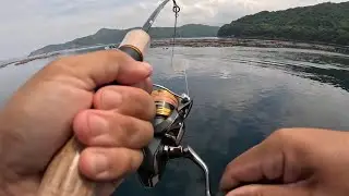 【ダート】ドリームアップのDD8で手軽に根魚釣り