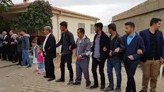 Maho Koca'nın oğlu Ahmet'in düğünü 10 Ekim 2017 15:00